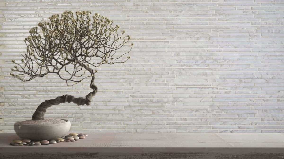 Tempered - Snow Drift Strips