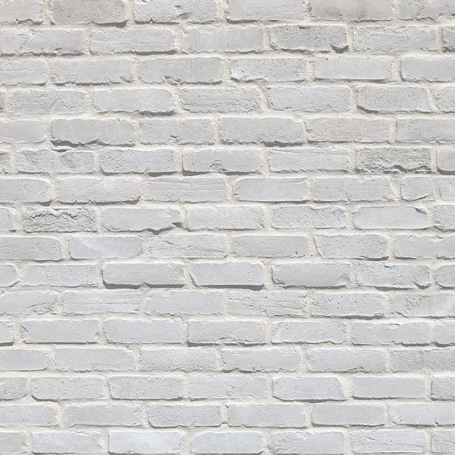 Prestige Stone Products White Onyx PlymBrick Veneer
