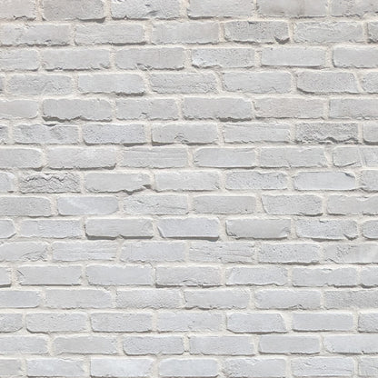 Prestige Stone Products White Onyx PlymBrick Veneer